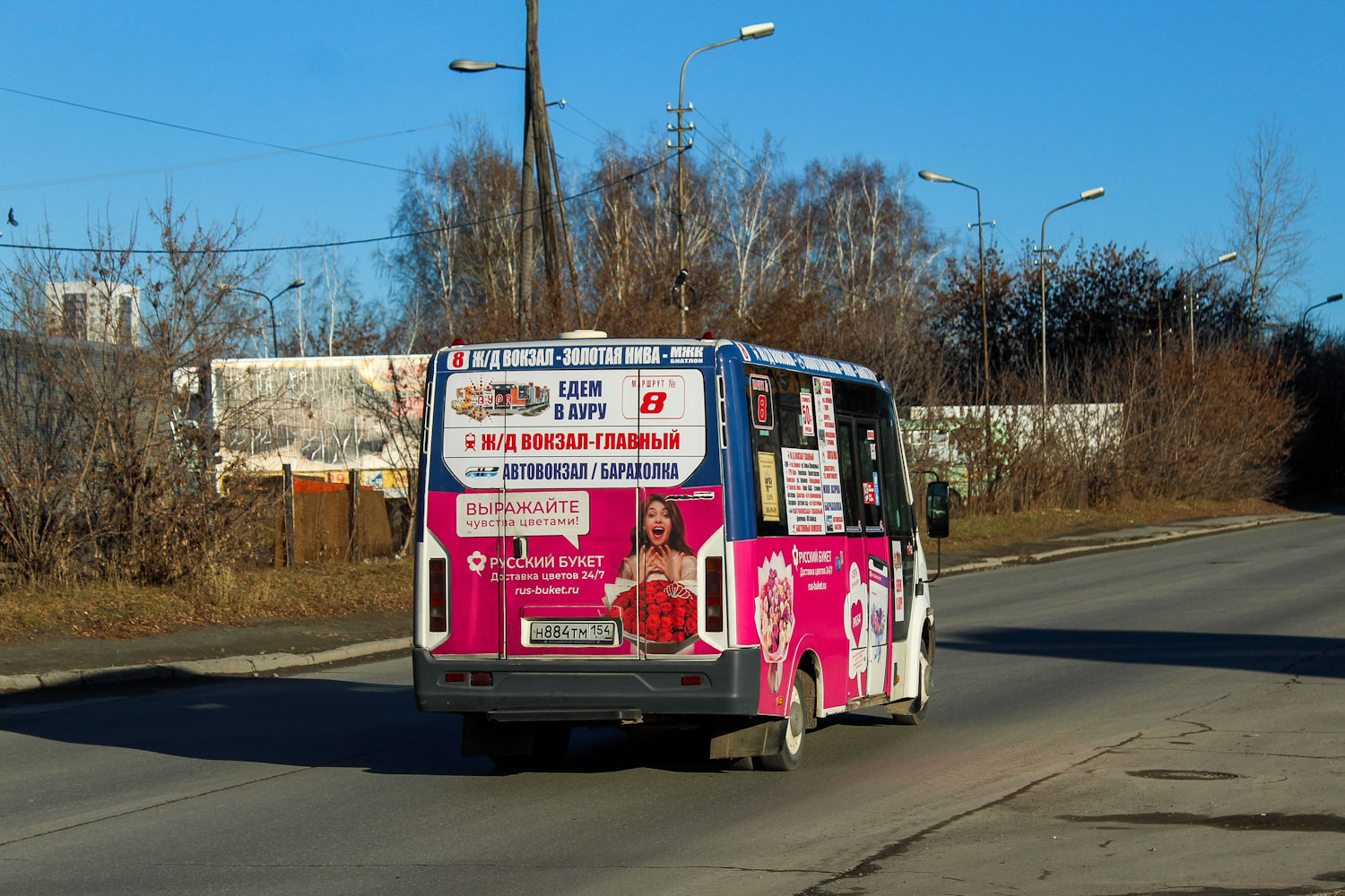 Новосибирская область, Луидор-2250DS (ГАЗ Next) № Н 884 ТМ 154