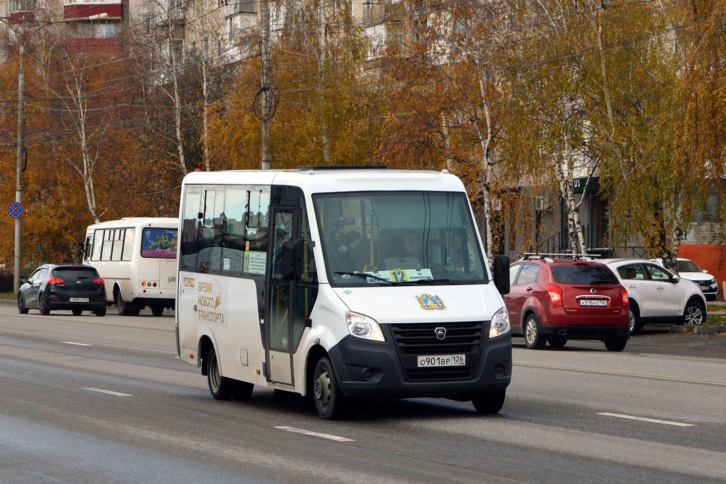 Ставропольский край, ГАЗ-A63R45 Next № 217