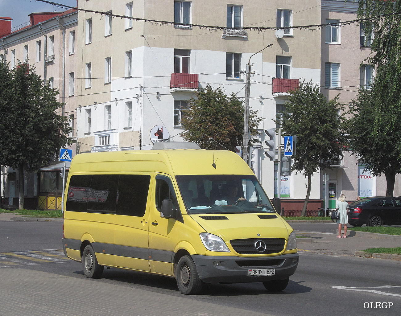 Витебская область, Mercedes-Benz Sprinter W906 315CDI № 8987 ІЕ-2