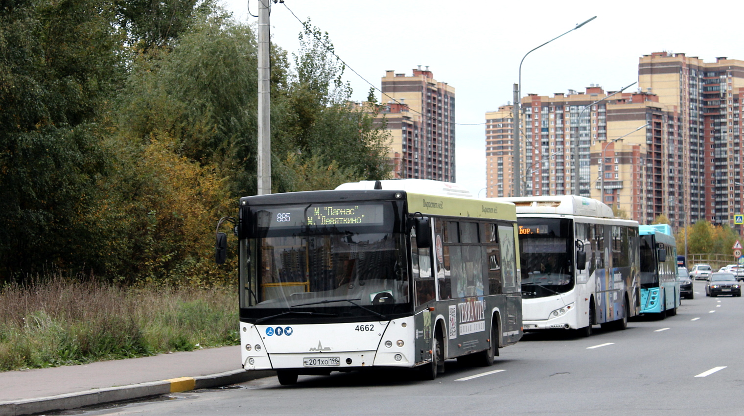 Санкт-Петербург, МАЗ-206.086 № 4662