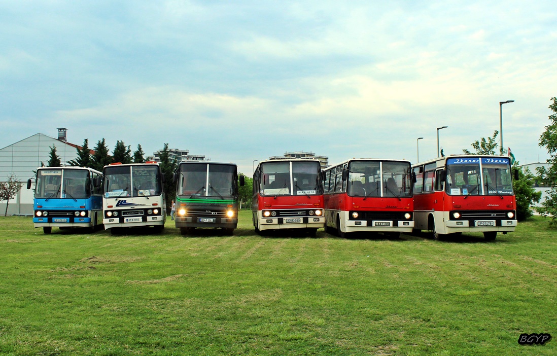 Венгрия, Ikarus 211.52 № JTA-810; Тюрингия, Ikarus 211.51 № HBN-E 116; Венгрия, Ikarus 211.01 № EUE-059; Венгрия — III. Nemzetközi Ikarus Találkozó, Tapolca (2022)