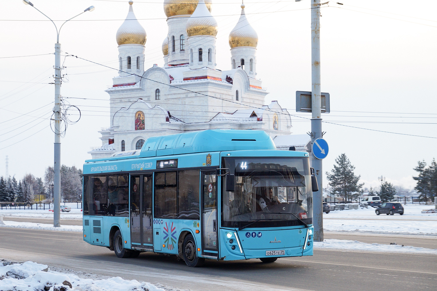 Архангельская область, МАЗ-206.948 № О 625 ТЕ 29