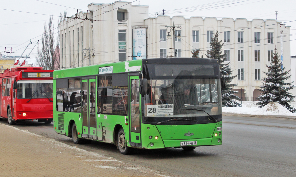 Владимирская область, МАЗ-206.067 № 1003