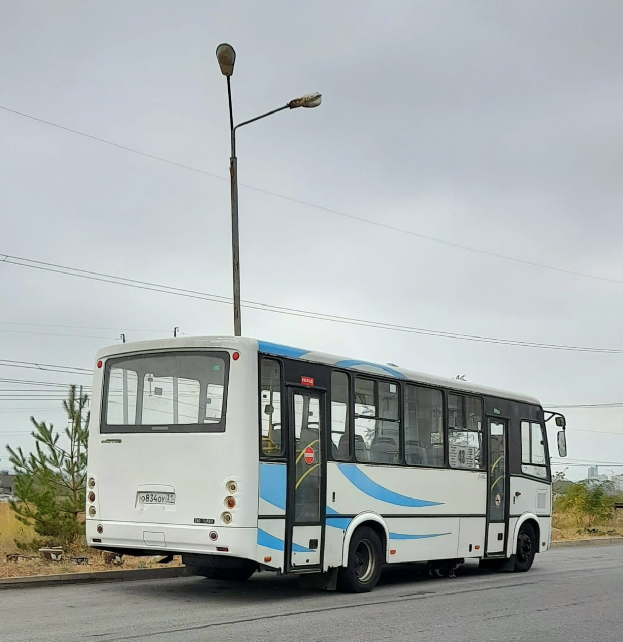 Белгородская область, ПАЗ-320412-04 "Вектор" № О 834 ОУ 31