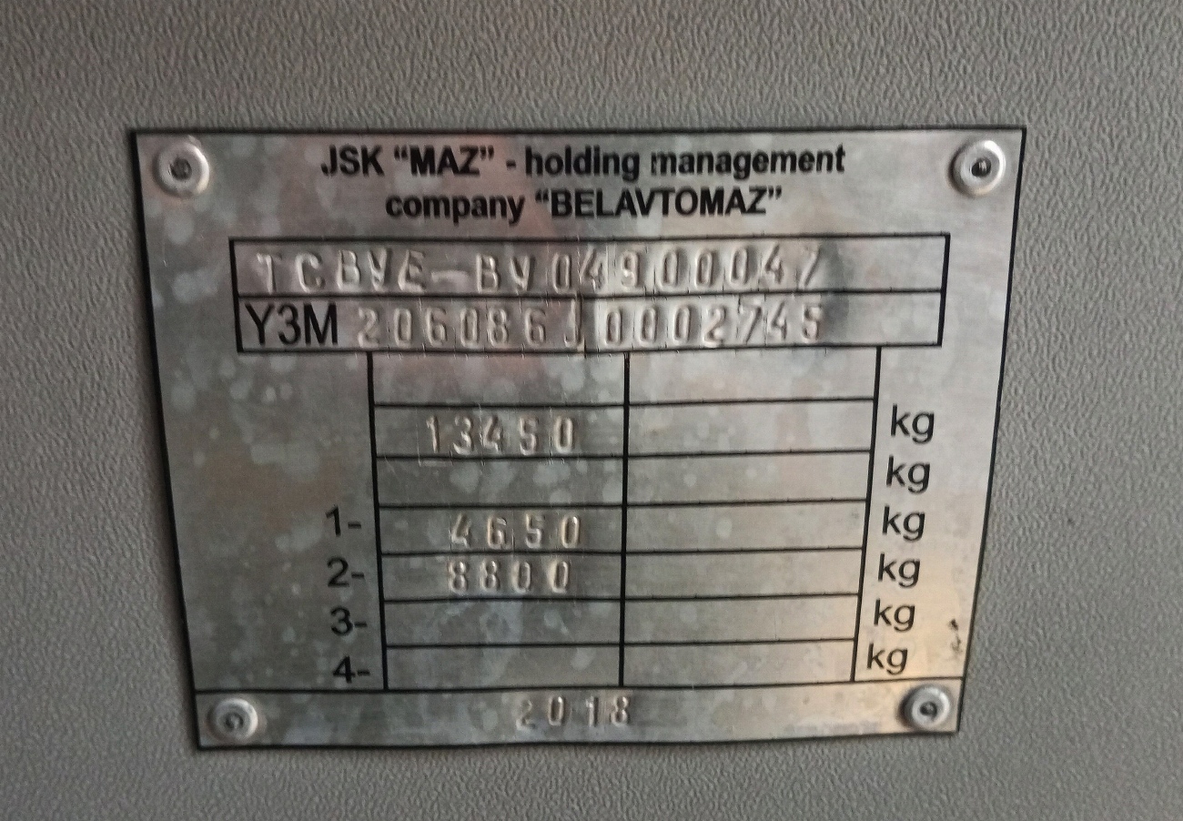 Самарская область, МАЗ-206.086 № 250