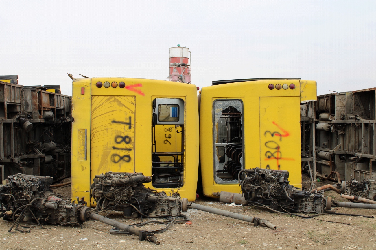 Грузия, Богдан А09201 № TTC-818; Грузия, Богдан А09202 № TTC-896; Грузия, Богдан А09201 № TTC-803; Грузия — Разные фотографии