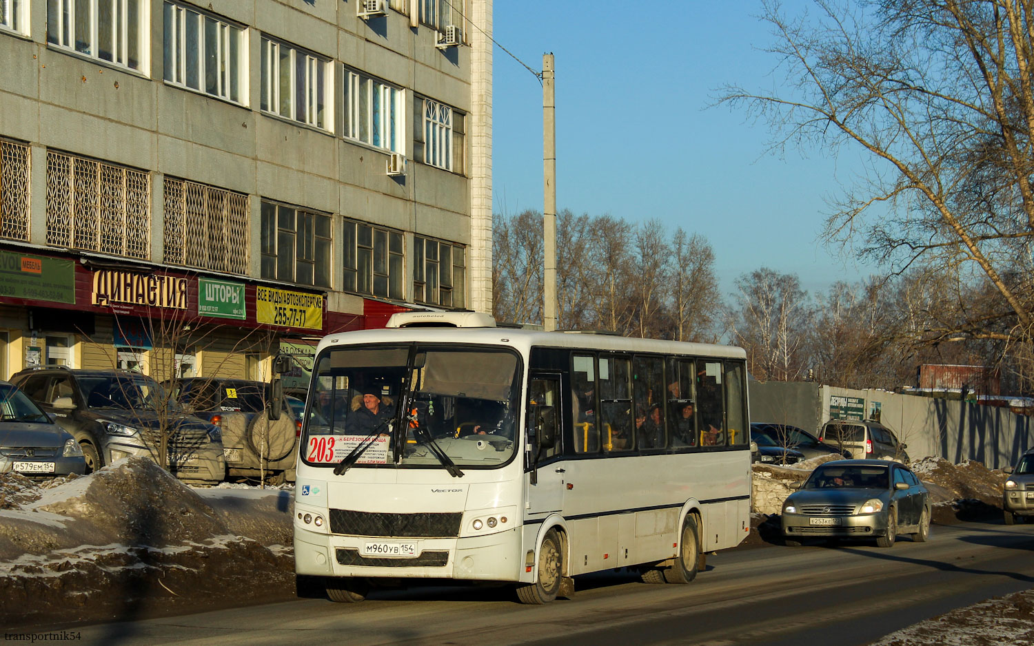 Новосибирская область, ПАЗ-320414-14 "Вектор" № М 960 УВ 154