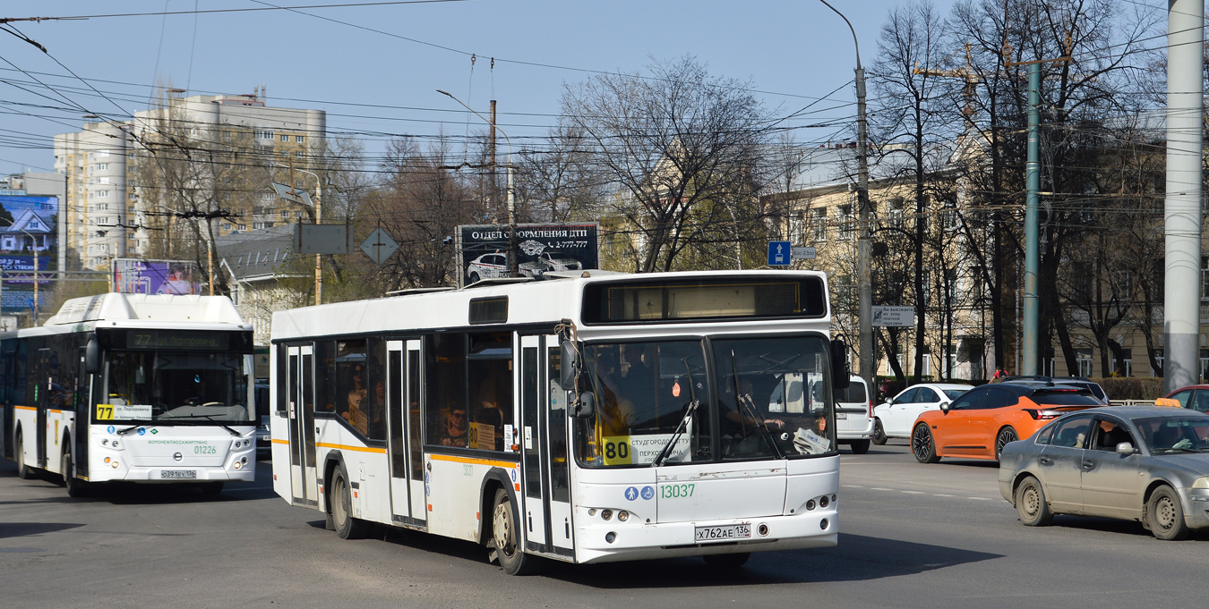 Воронежская область, МАЗ-103.465 № 13037