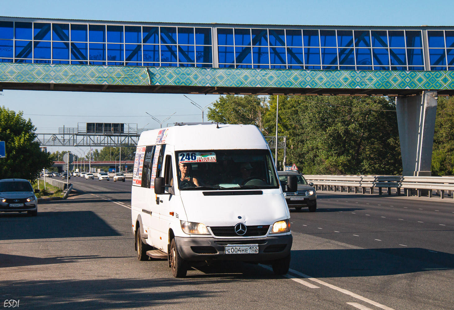 Башкортостан, Луидор-223201 (MB Sprinter Classic) № С 004 НЕ 102