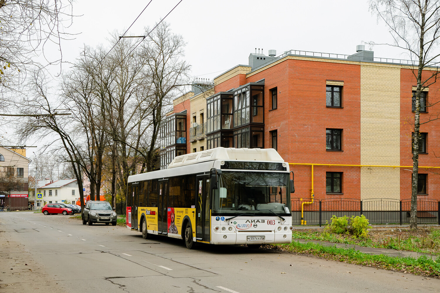 Вологодская область, ЛиАЗ-5292.67 (CNG) № 003