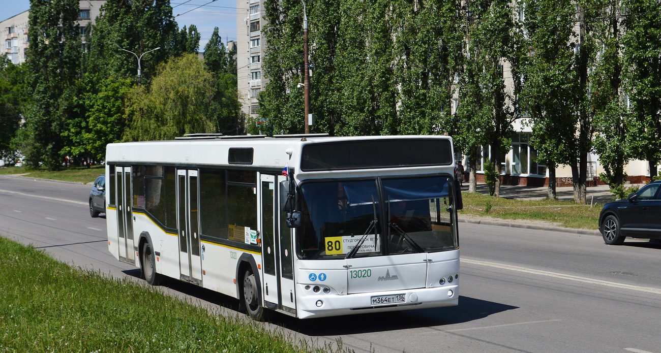 Воронежская область, МАЗ-103.465 № 13020