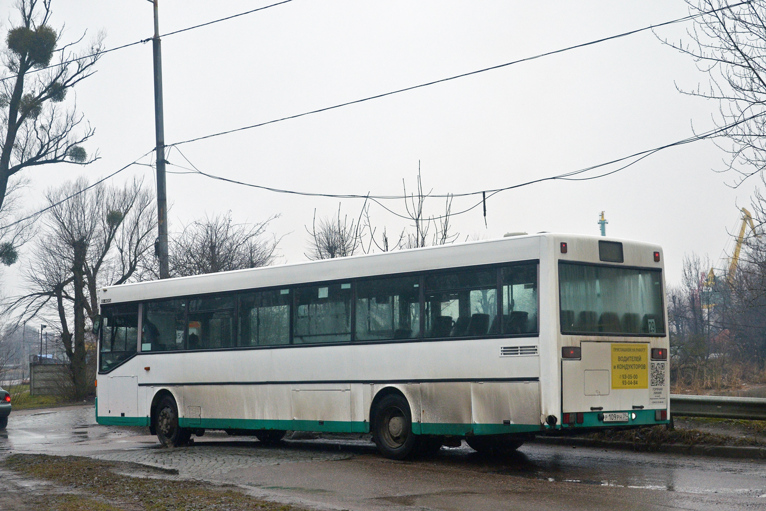 Калининградская область, Mercedes-Benz O405 № Р 109 РН 39