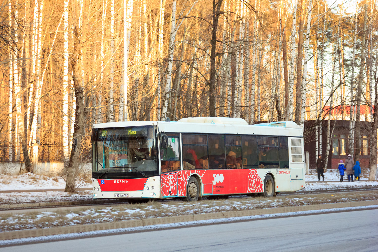 Пермский край, МАЗ-203.016 № Н 821 ЕН 159