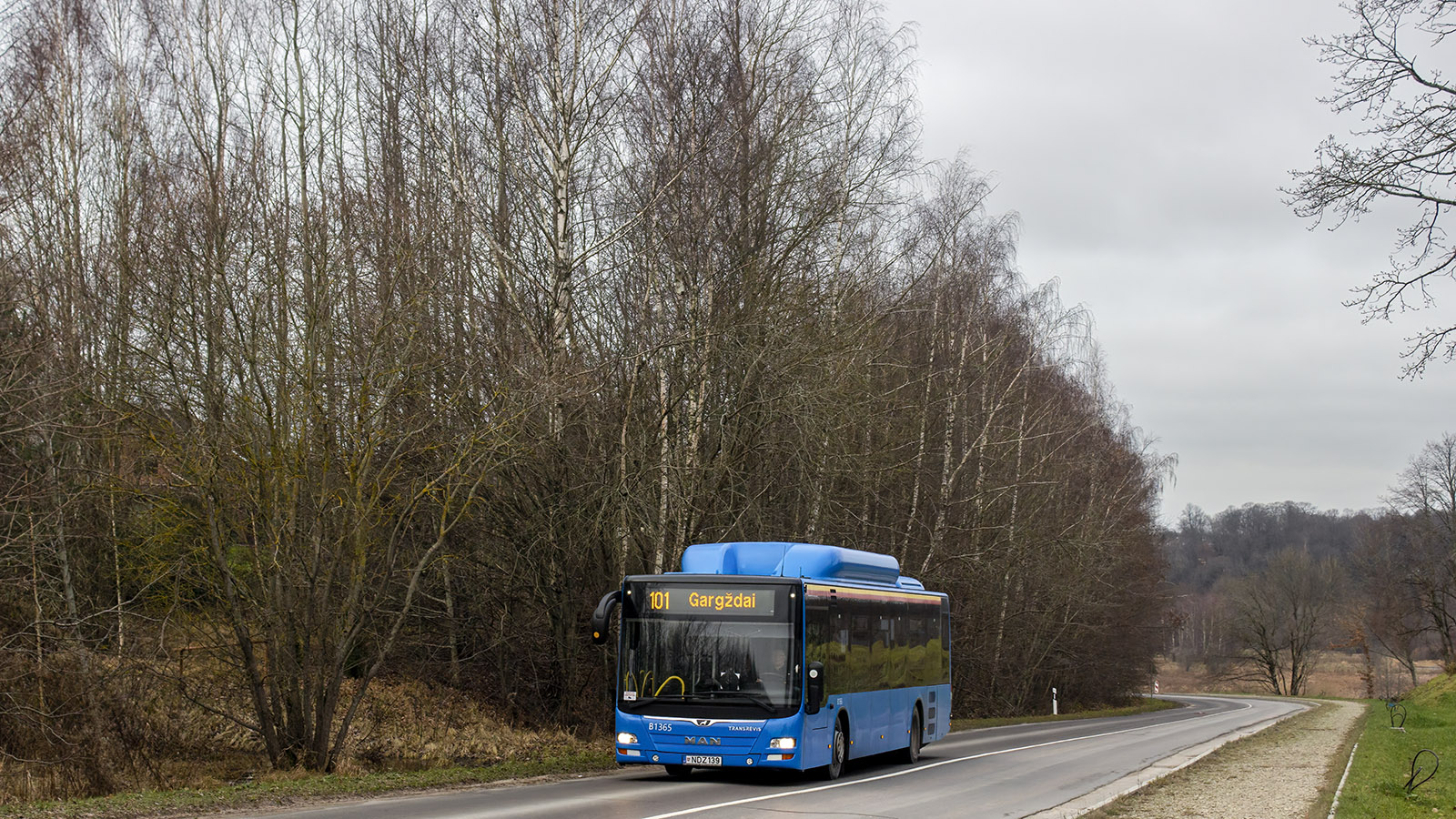 Lithuania, MAN A21 Lion's City NL313 CNG # B1365