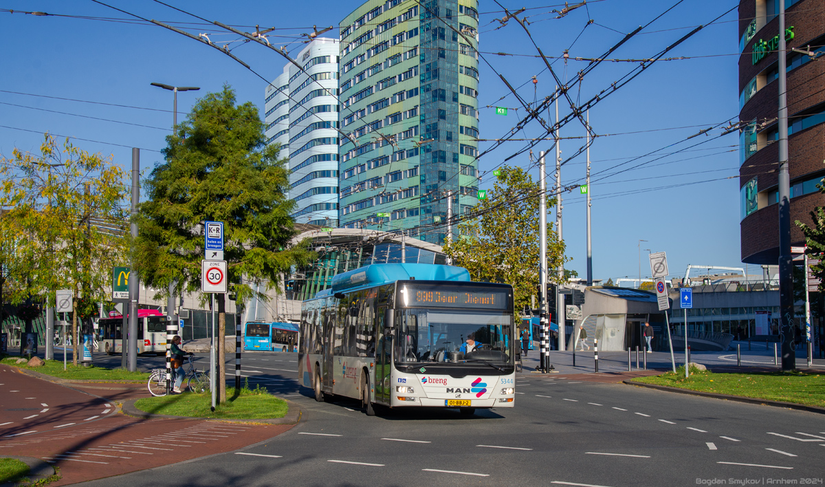 Нидерланды, MAN A21 Lion's City NL273 CNG № 5344