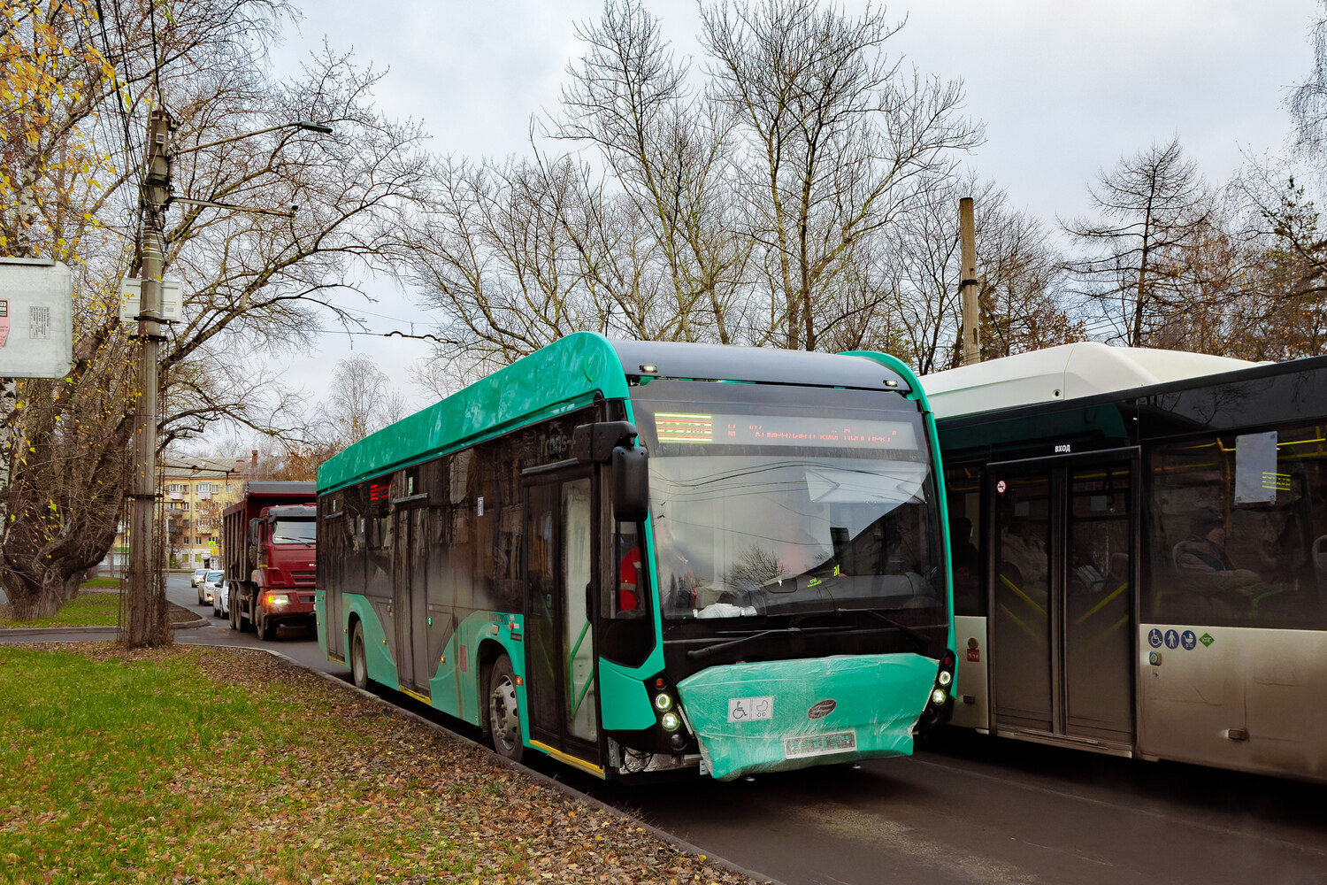 Санкт-Петербург — Новые автобусы