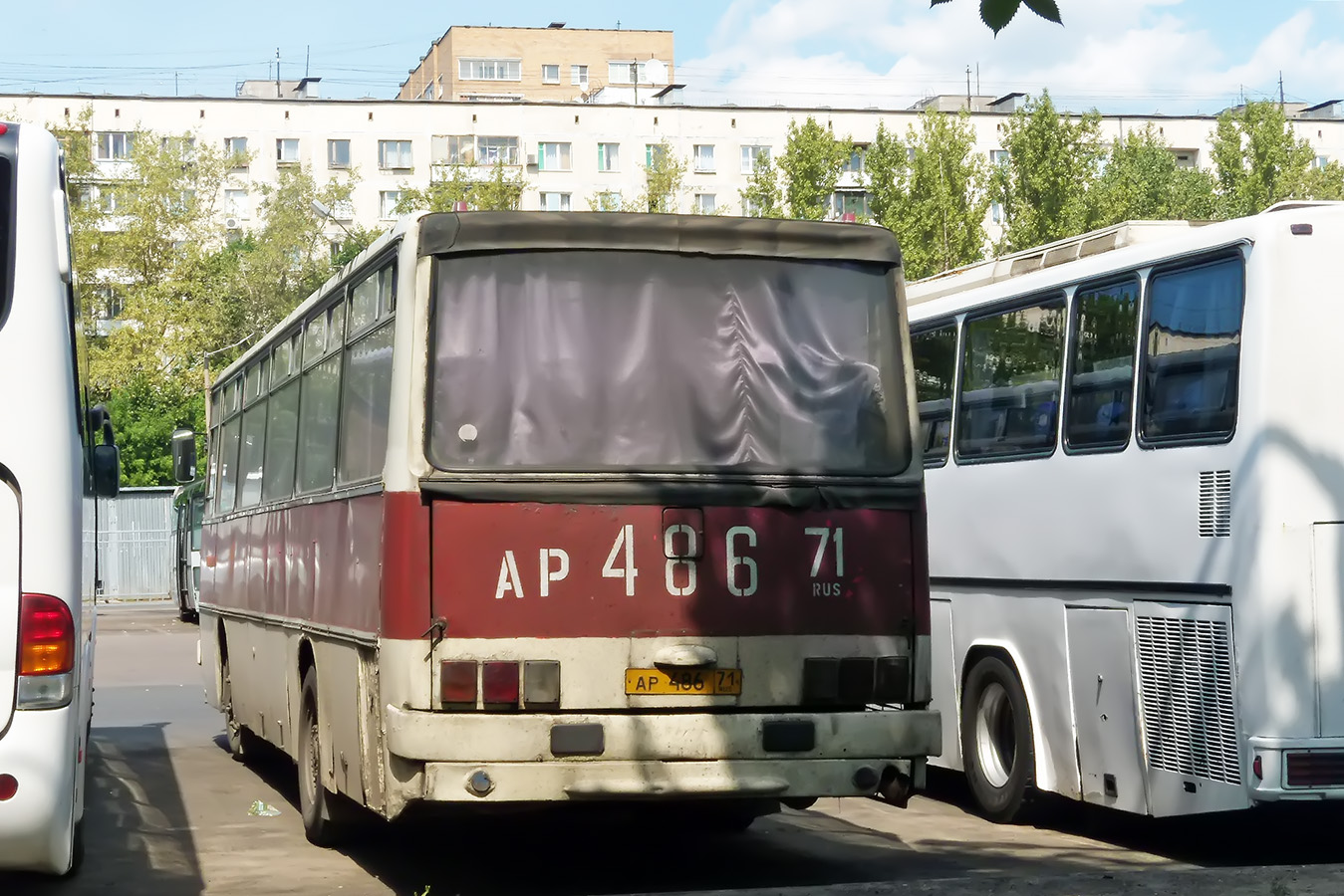 Тульская область, Ikarus 256.51 № АР 486 71