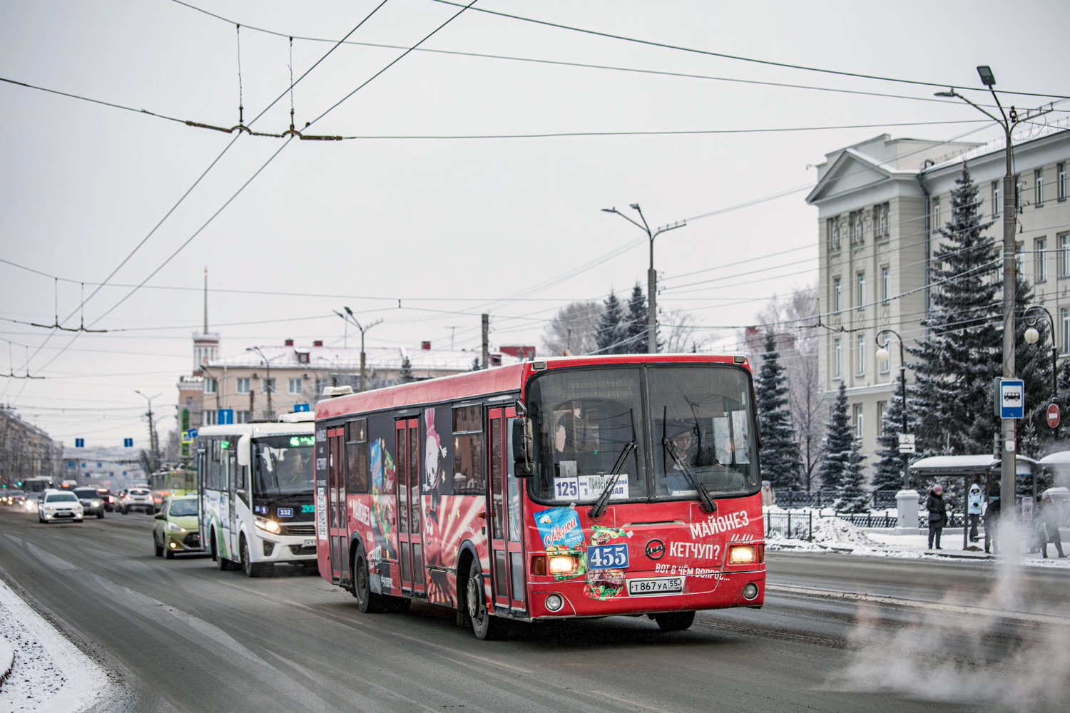 Омская область, ЛиАЗ-5256.53 № 455