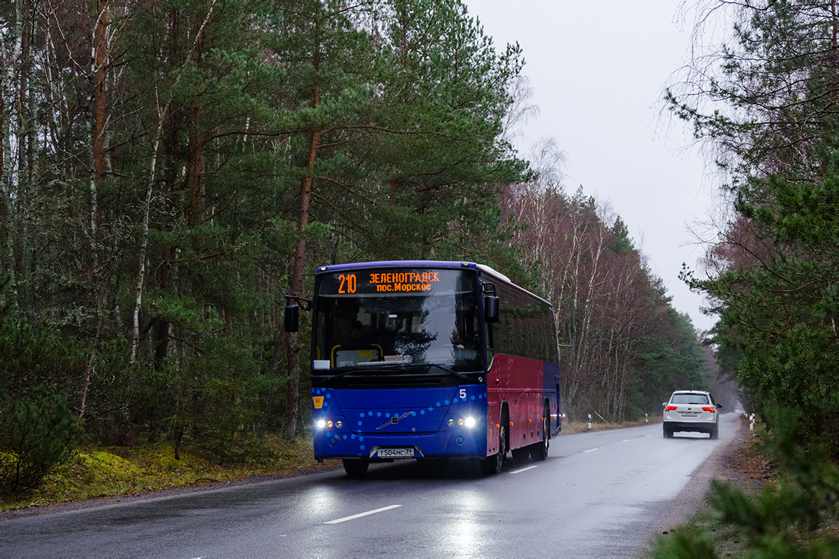 Калининградская область, Volvo 8700 № Т 504 МС 39