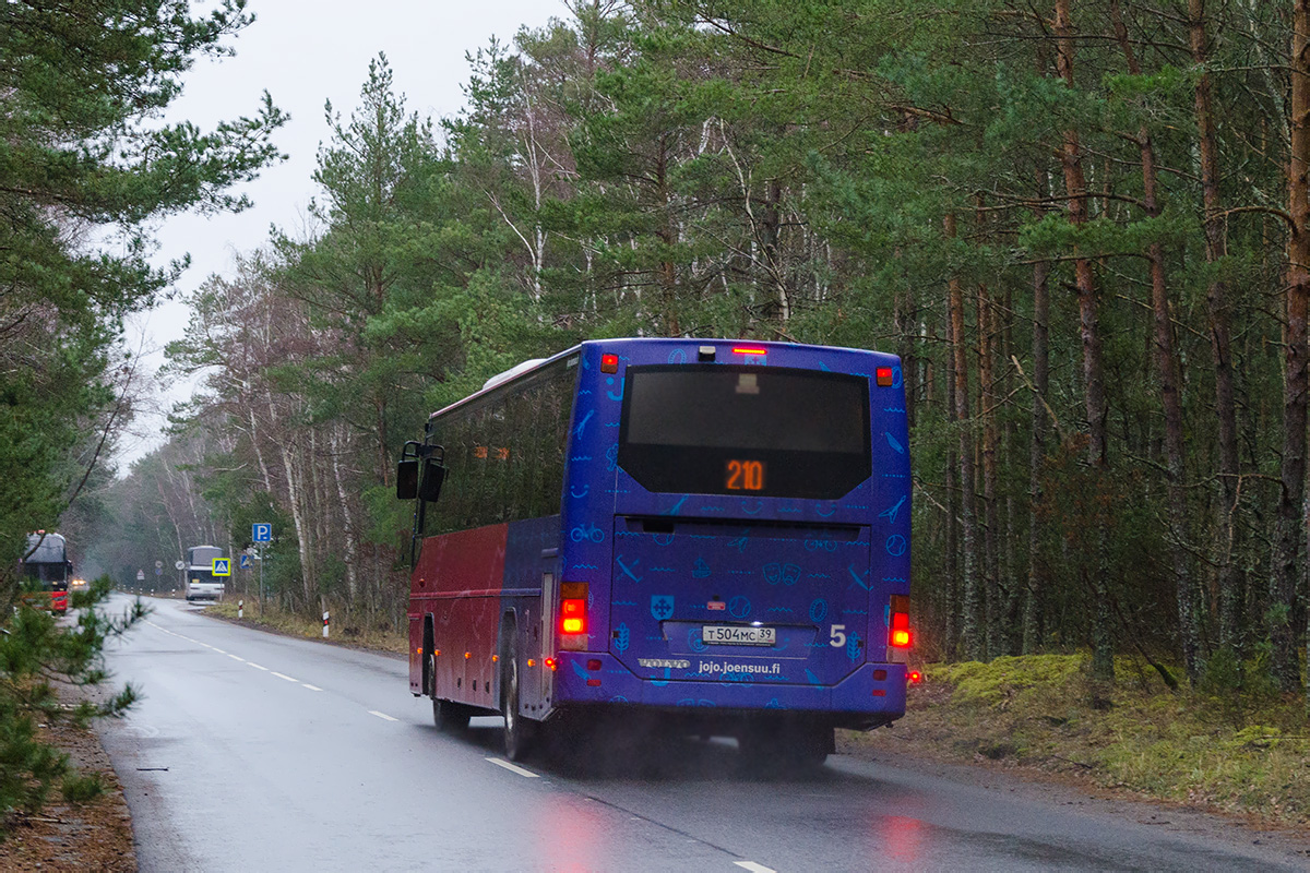 Калининградская область, Volvo 8700 № Т 504 МС 39