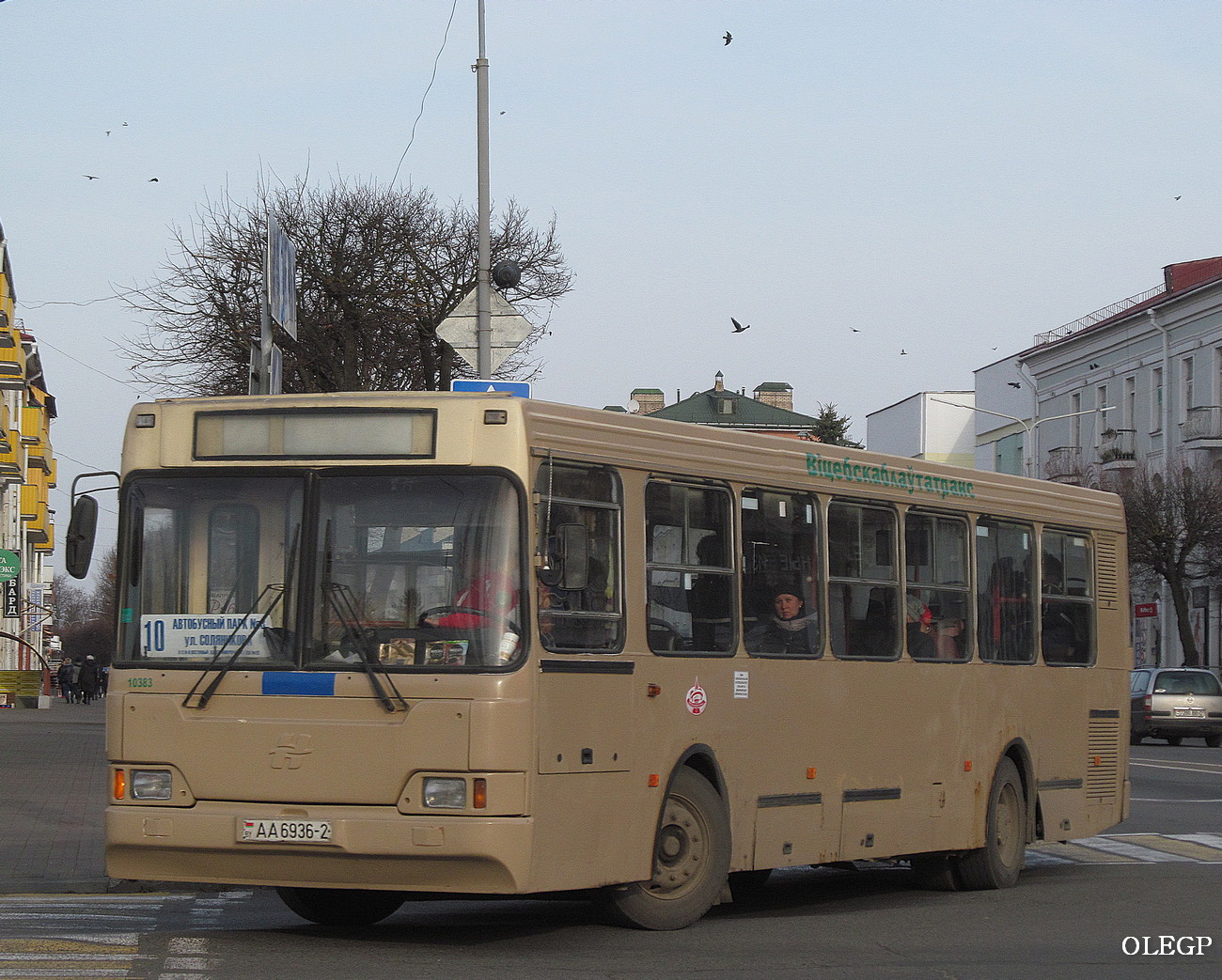 Витебская область, Неман-5201 № 10383