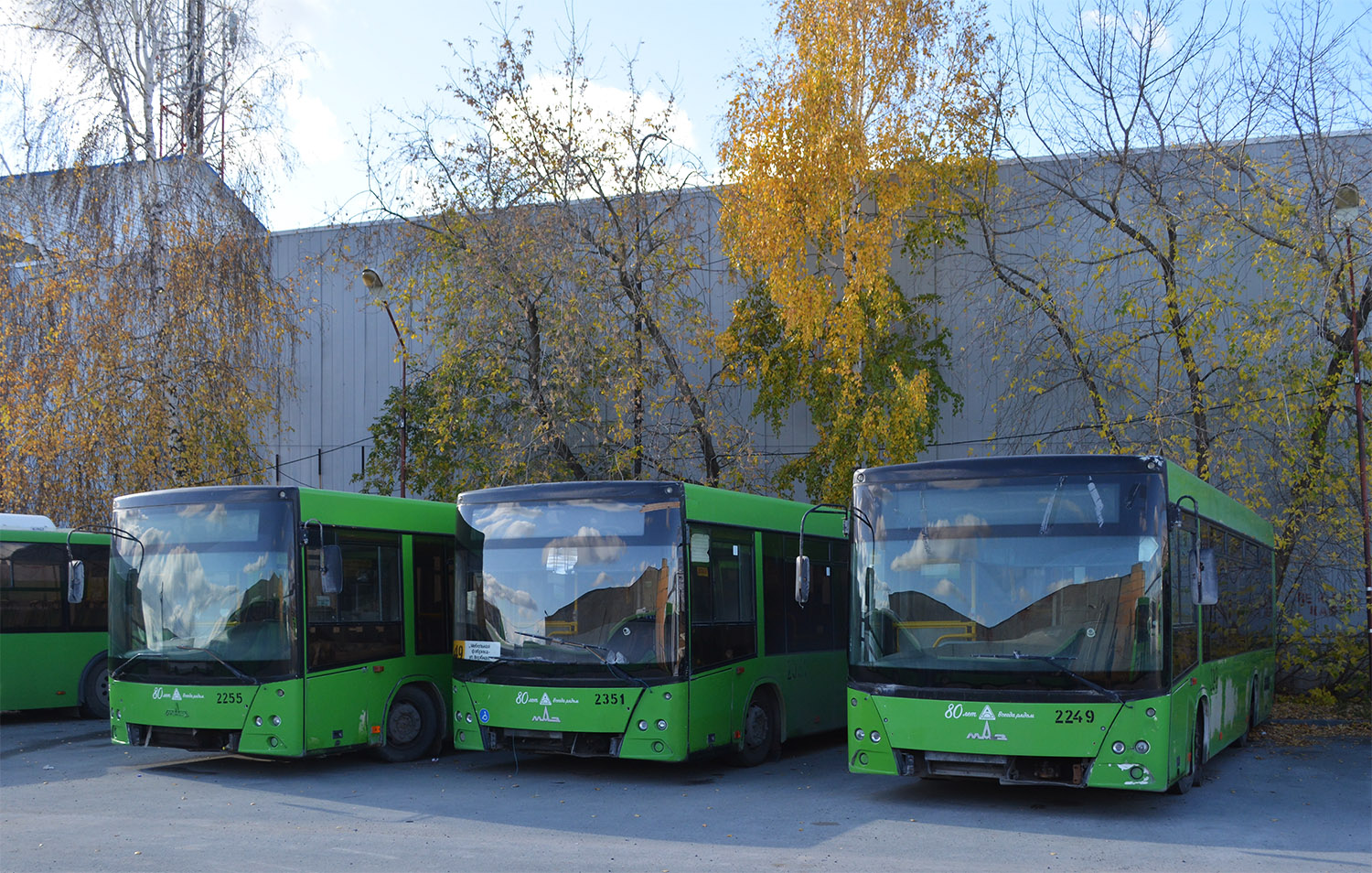 Tumen region, MAZ-206.085 # 2249; Tumen region — Buses organizations