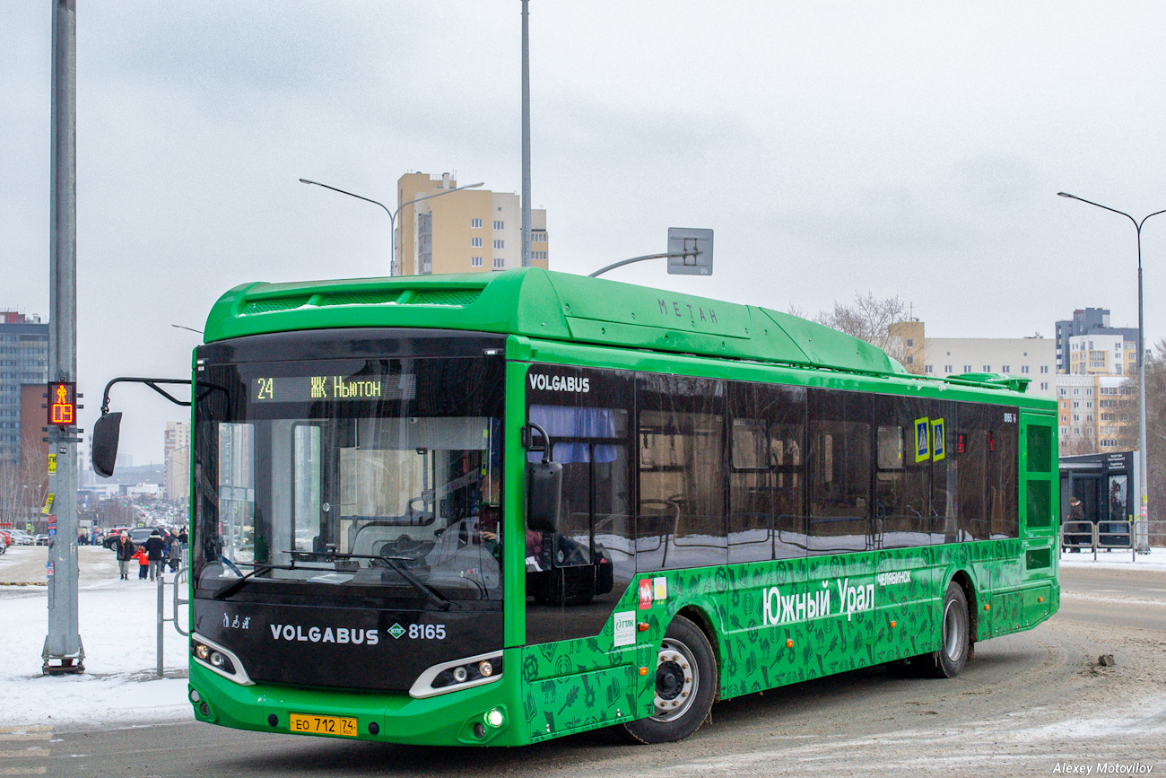 Челябинская область, Volgabus-5270.G2 (CNG) № 8165