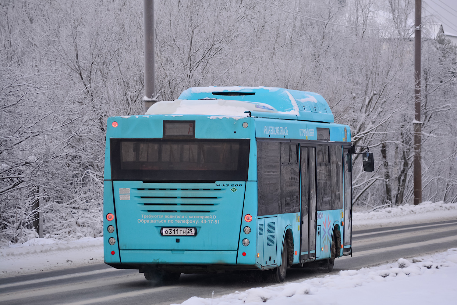 Архангельская область, МАЗ-206.948 № О 311 ТН 29