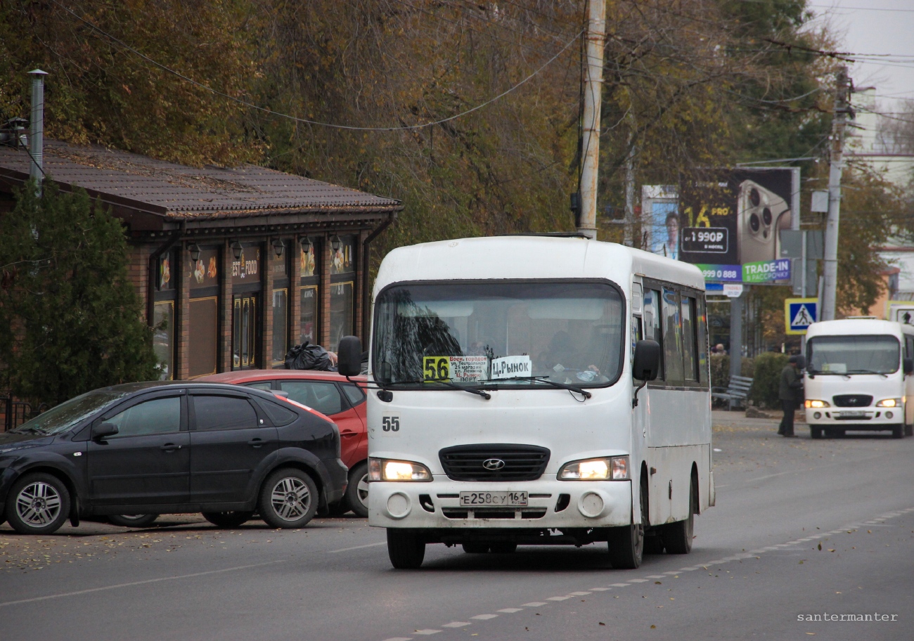 Ростовская область, Hyundai County LWB C09 (ТагАЗ) № 55