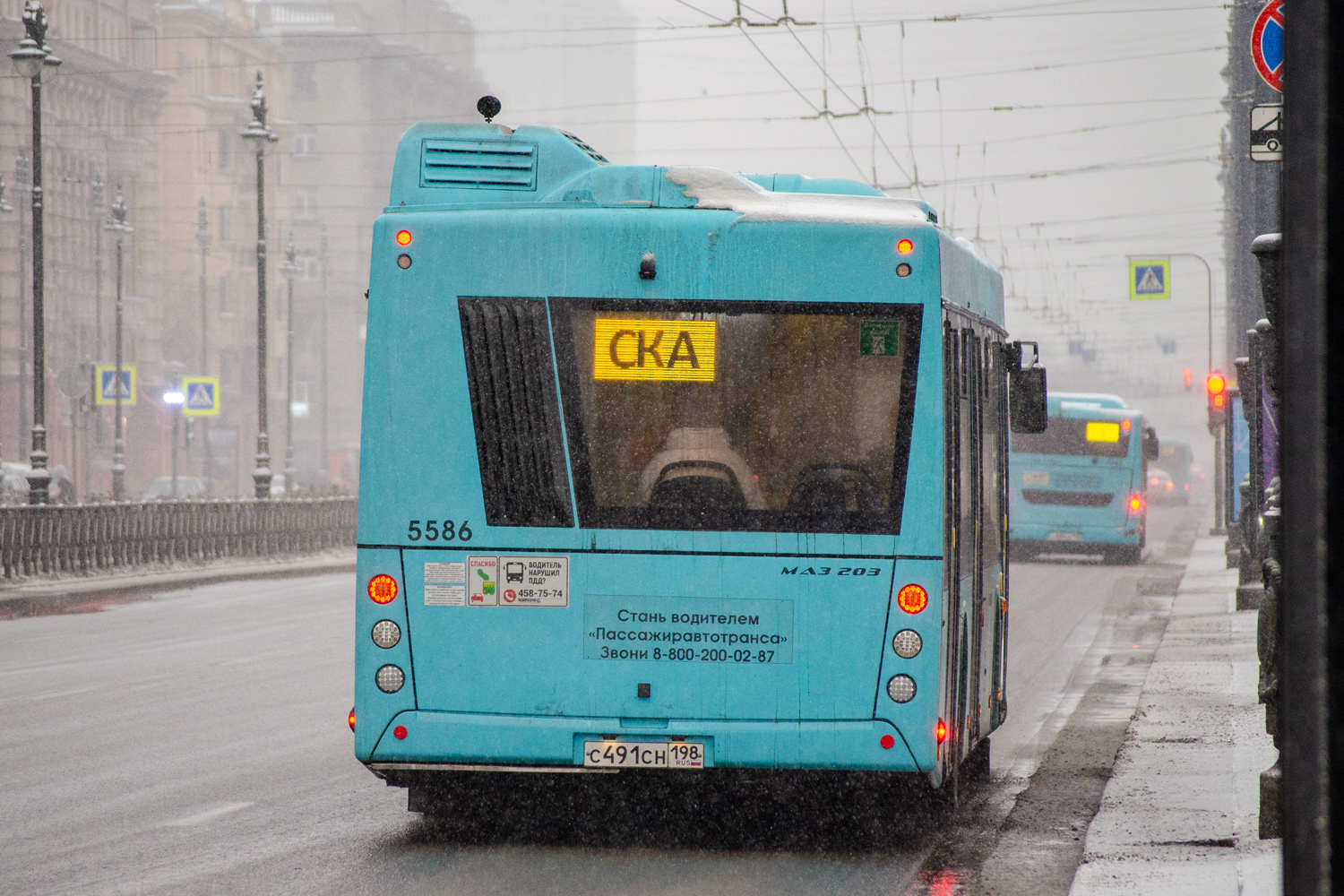 Санкт-Петербург, МАЗ-203.047 № 5586