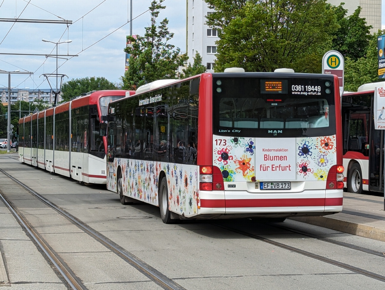 Тюрингия, MAN A21 Lion's City NL283 № 173