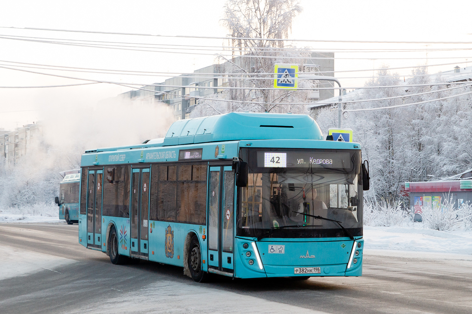 Архангельская область, МАЗ-203.948 № Р 382 НК 198