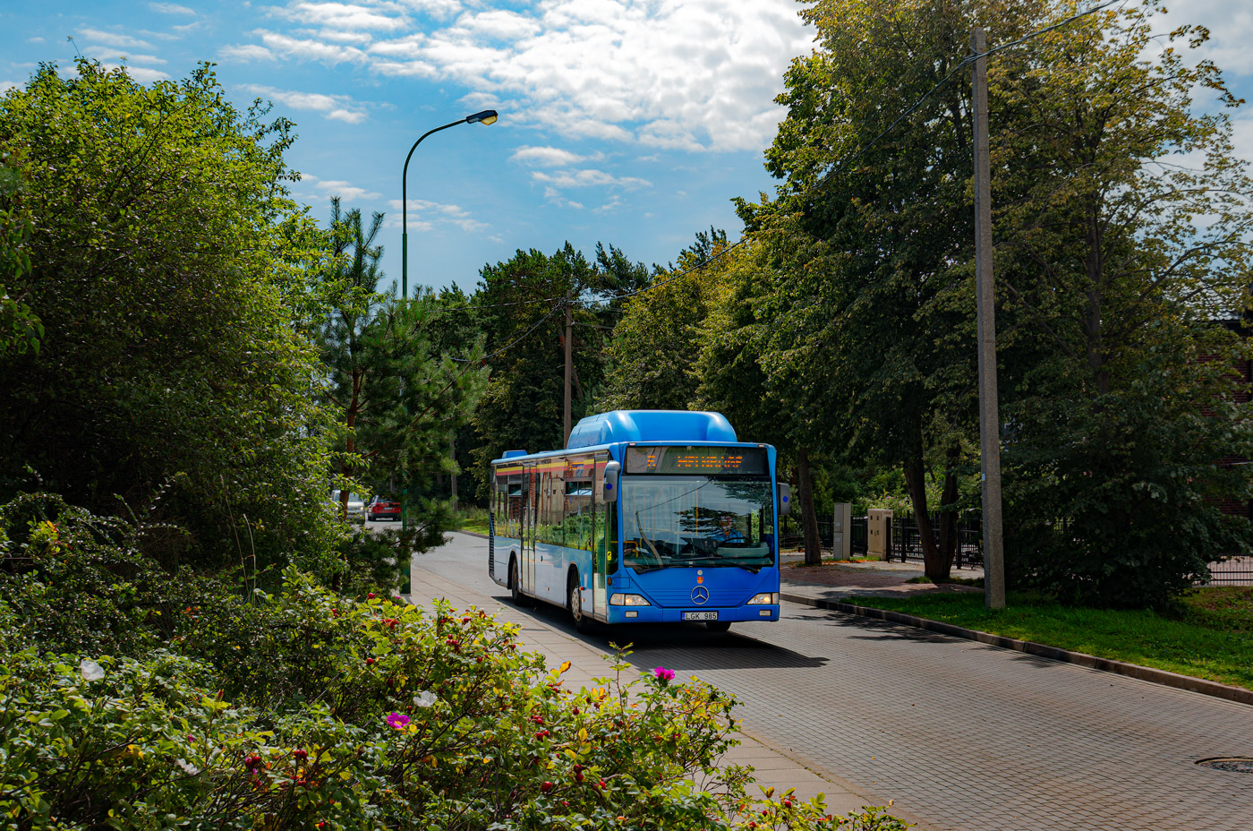 Литва, Mercedes-Benz O530 Citaro CNG № LGK 985