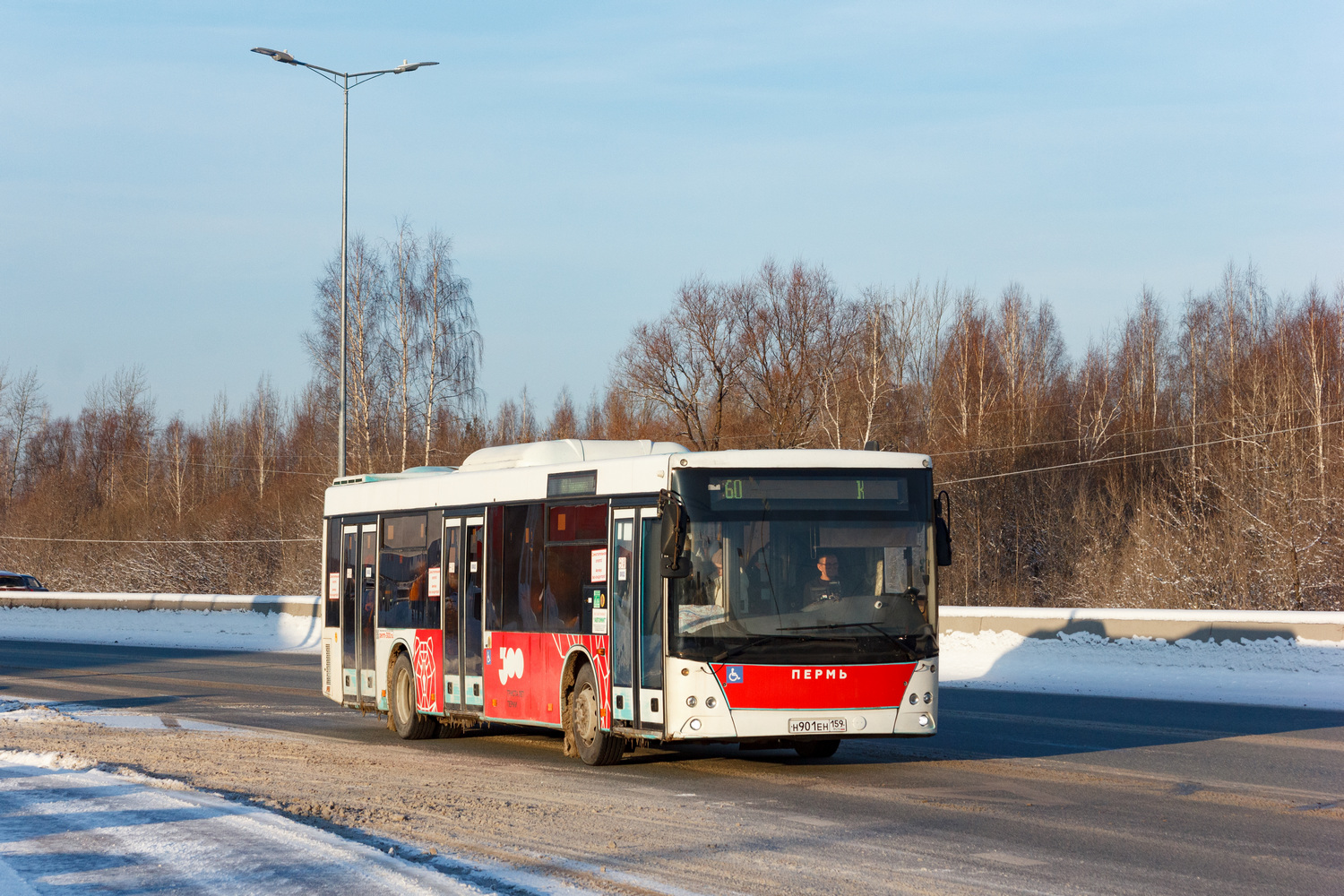 Пермский край, МАЗ-203.016 № Н 901 ЕН 159