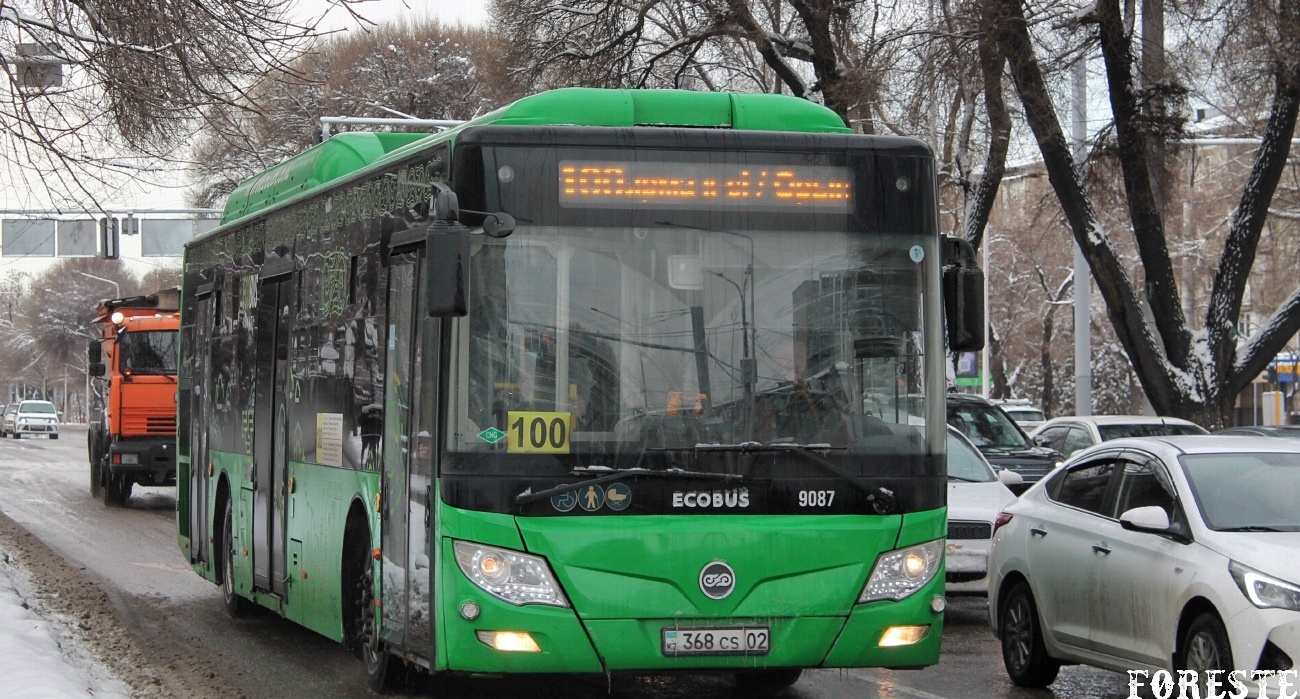 Алматы, Foton BJ6123C6CTD-A1 № 9087