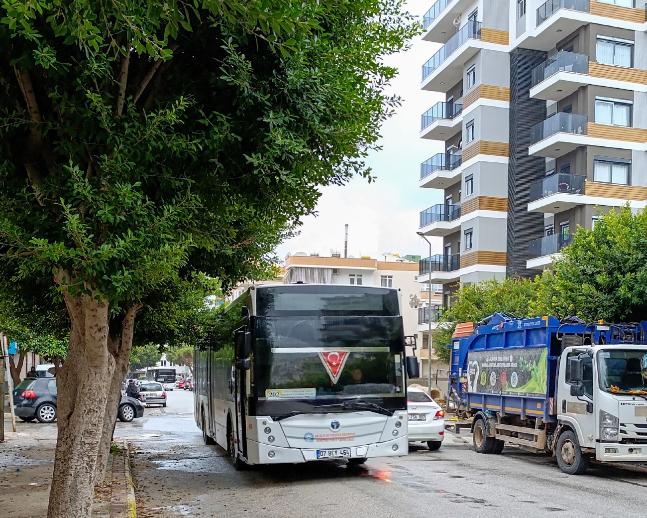 Турция, TEMSA Avenue LF № 40