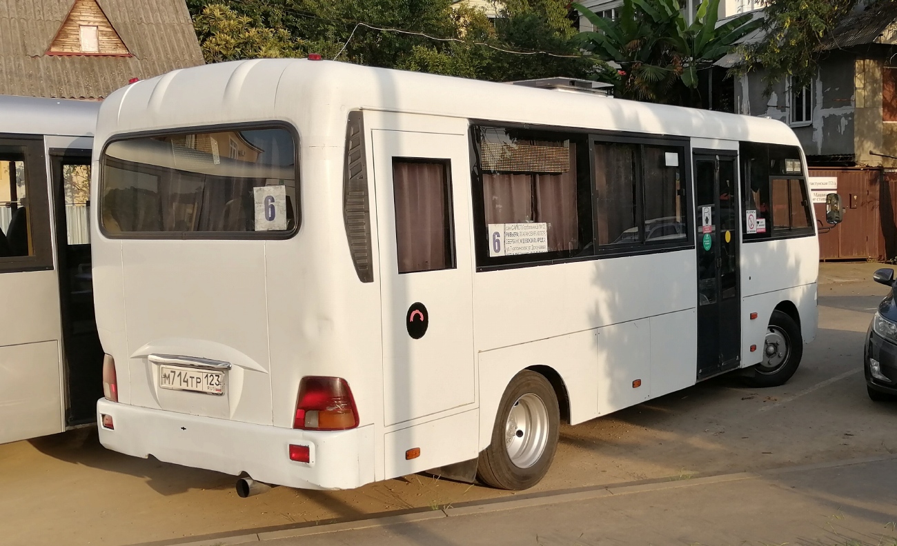 Краснодарский край, Hyundai County LWB C11 (ТагАЗ) № М 714 ТР 123