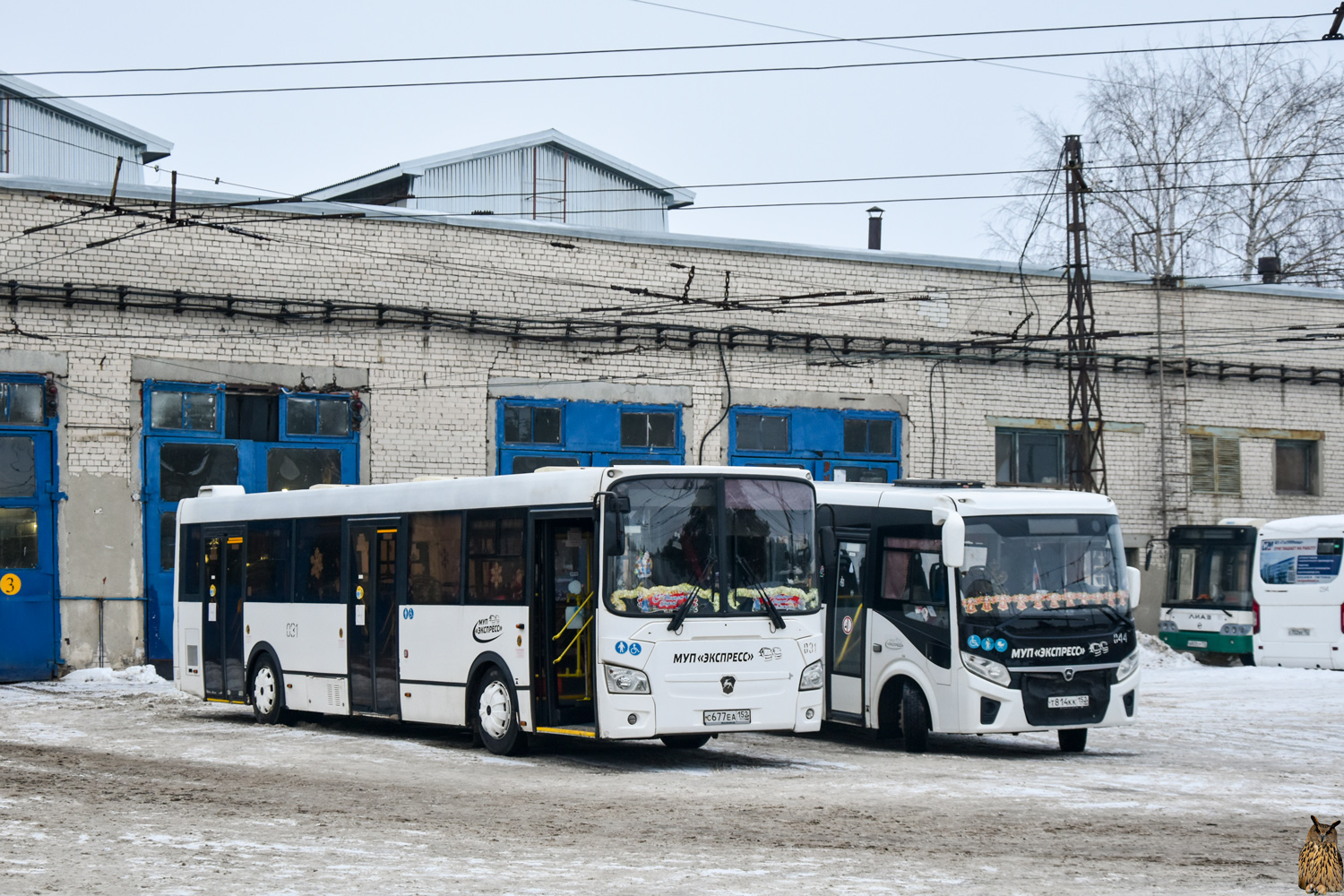 Нижегородская область, ЛиАЗ-5293.65 № 031