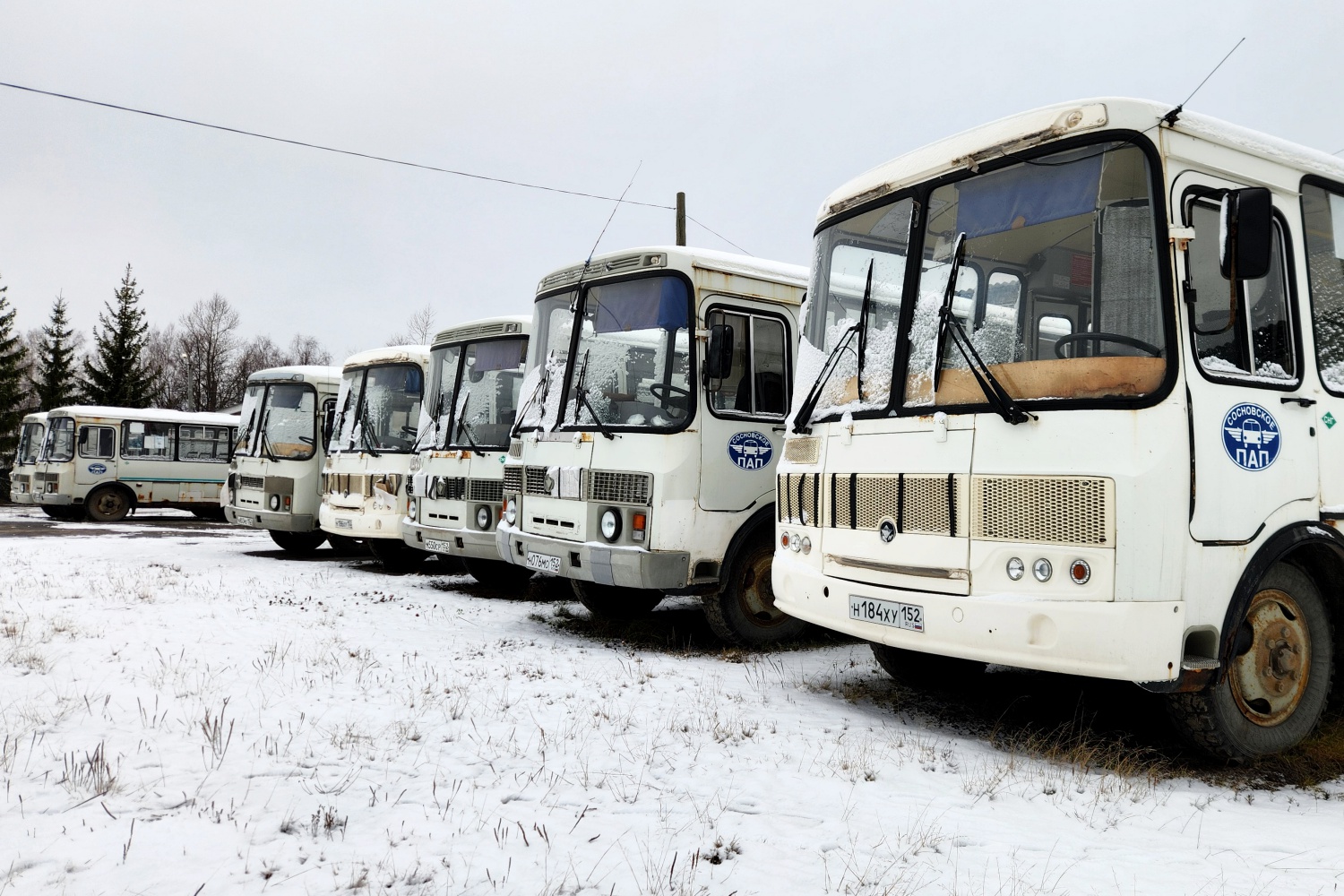 Нижегородская область, ПАЗ-32053 № Н 087 МО 152; Нижегородская область, ПАЗ-32054 № К 390 ТР 152; Нижегородская область, ПАЗ-32053 № Н 184 ХУ 152; Нижегородская область — Автопарки