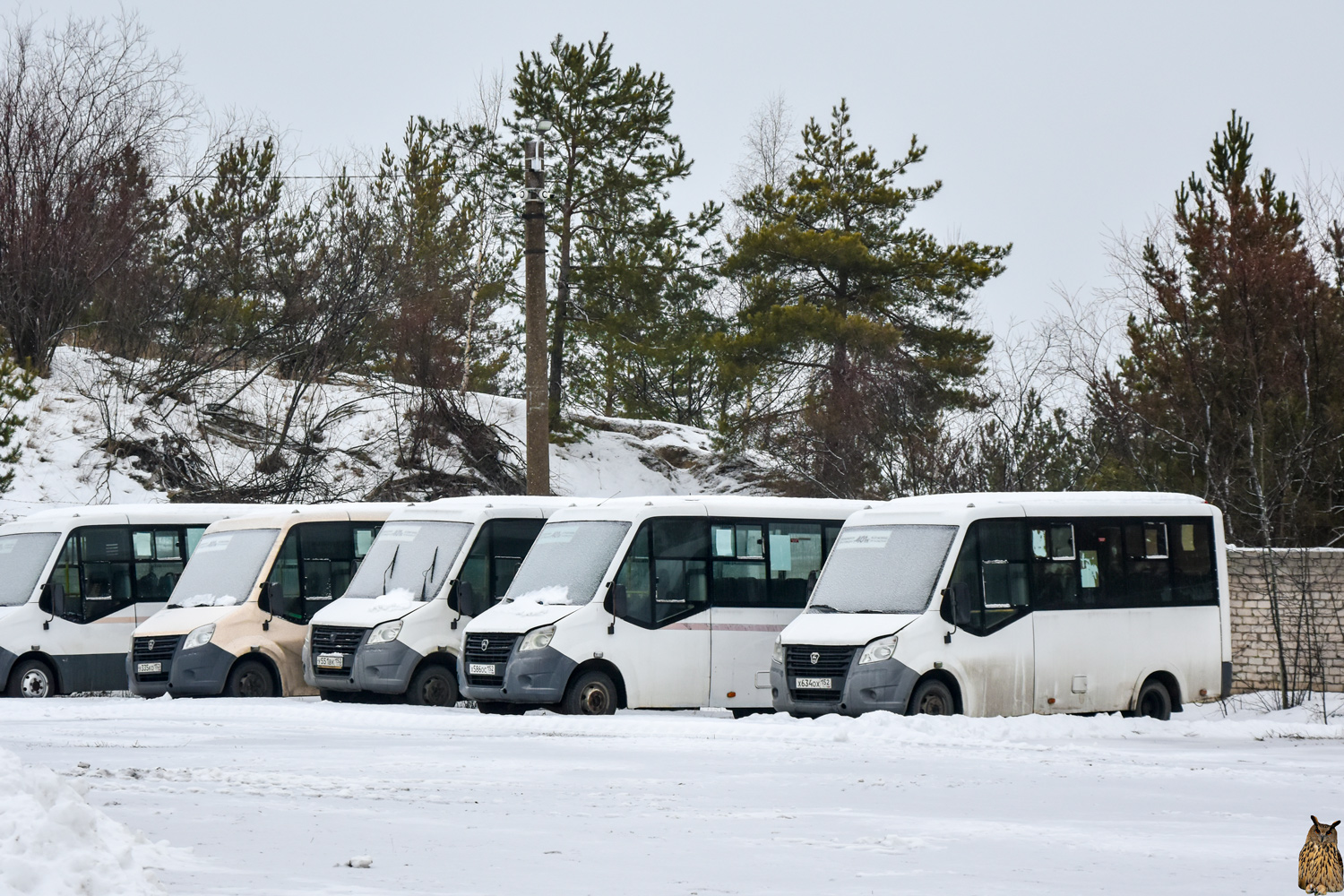 Нижегородская область, ГАЗ-A64R42 Next № Х 634 ОХ 152