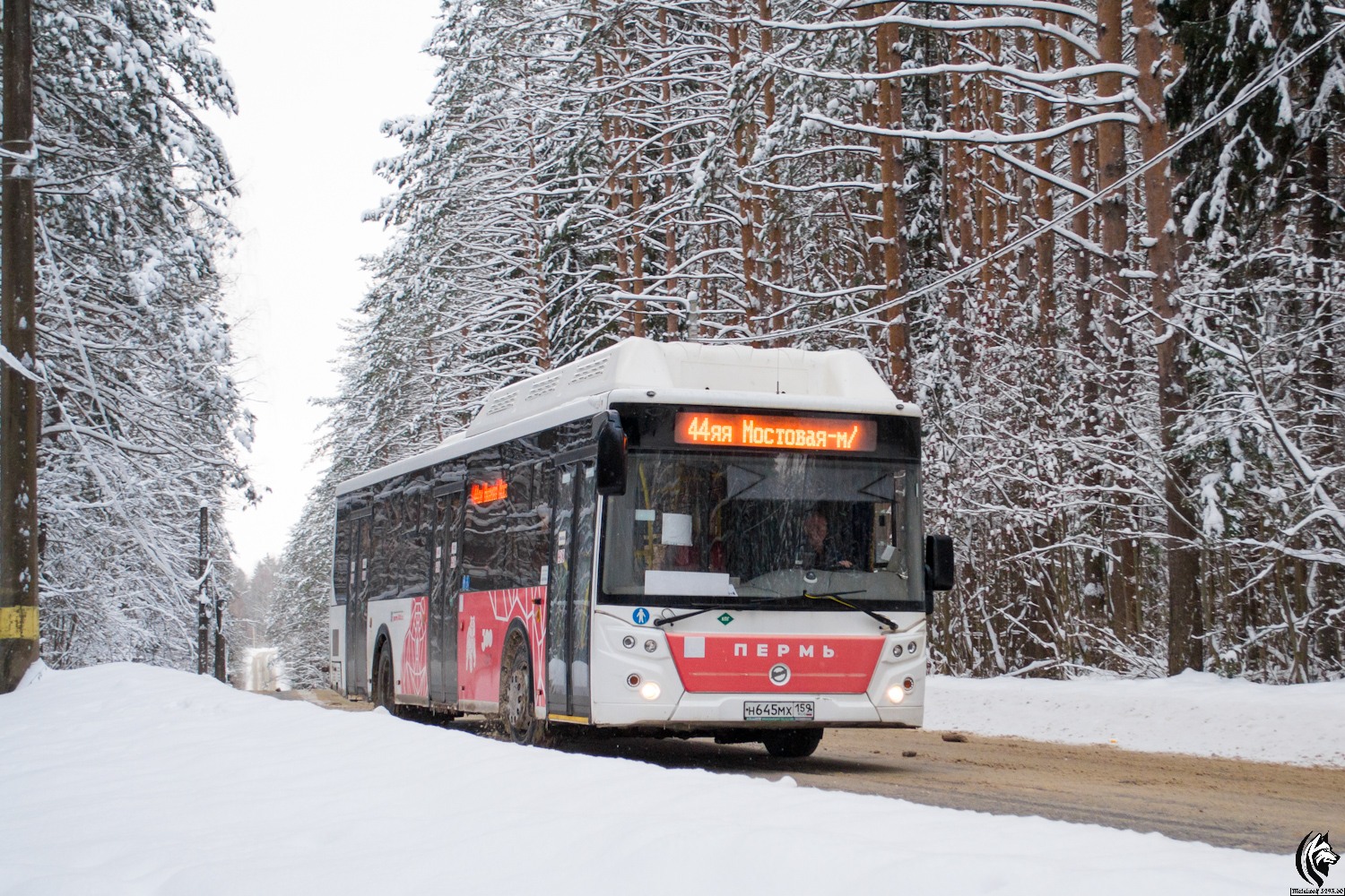 Пермский край, ЛиАЗ-5292.67 (CNG) № Н 645 МХ 159