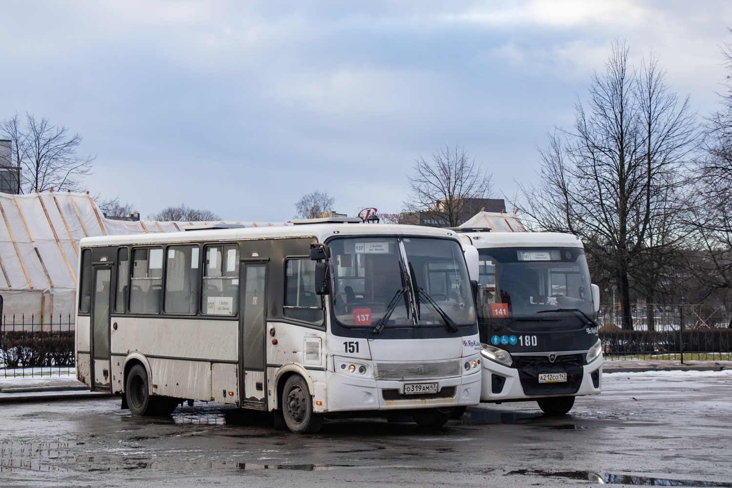 Ленинградская область, ПАЗ-320412-05 "Вектор" № 151