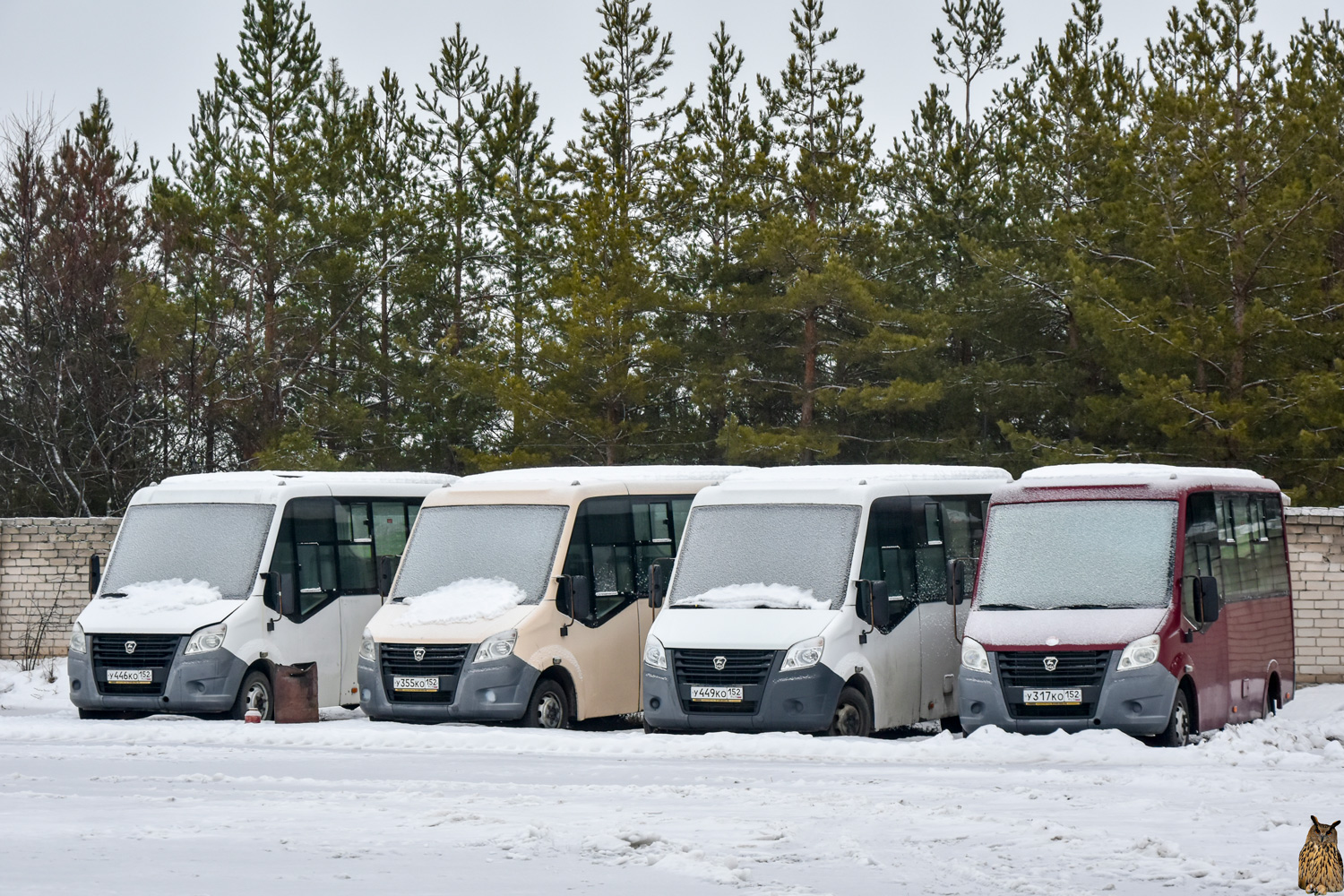 Нижегородская область, ГАЗ-A64R42 Next № У 317 КО 152