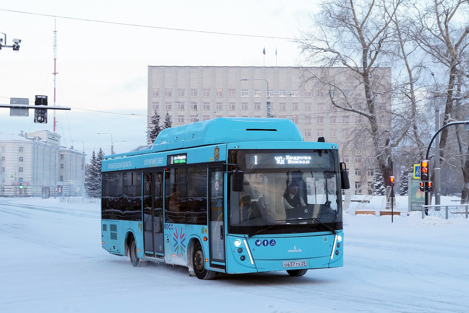 Архангельская область, МАЗ-206.948 № О 637 ТХ 29