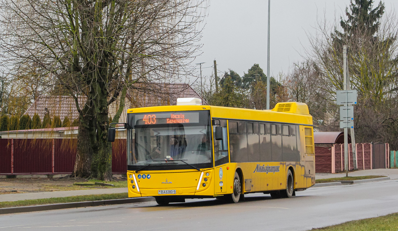 Минская область, МАЗ-203.147 № 030066