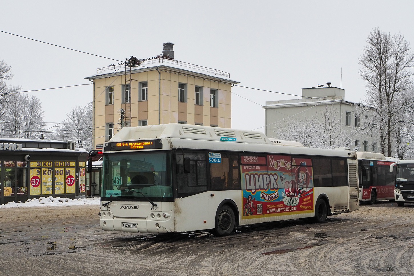 Ленинградская область, ЛиАЗ-5292.67 (CNG) № 4074