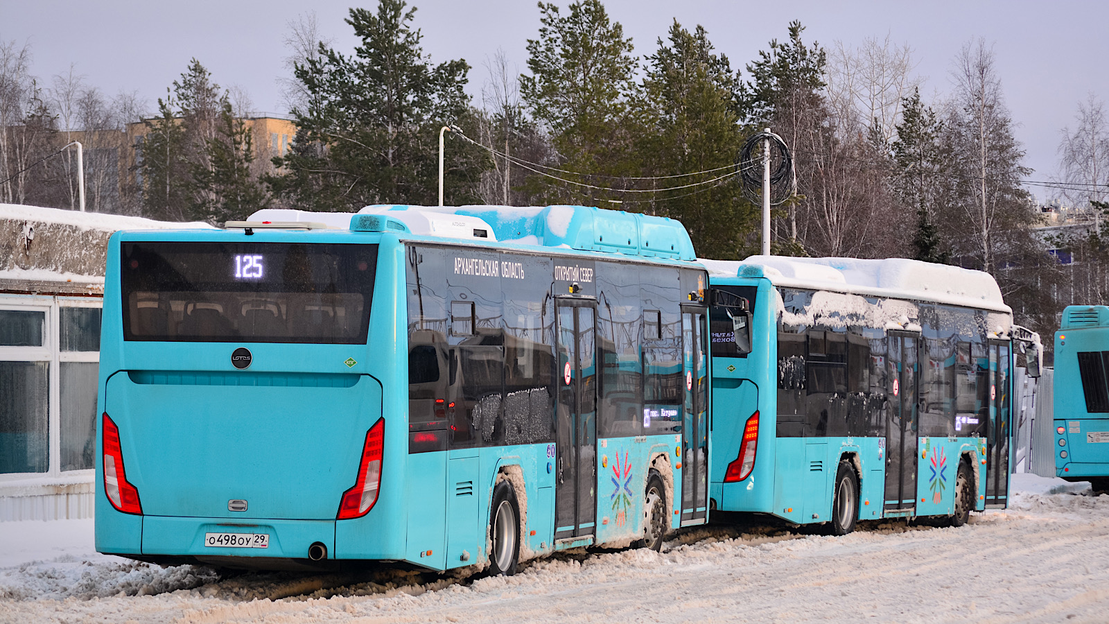 Архангельская область, Lotos-105C02 № О 498 ОУ 29; Архангельская область, Lotos-105C02 № О 470 ОУ 29; Архангельская область, МАЗ-203.948 № Р 880 ОЕ 198