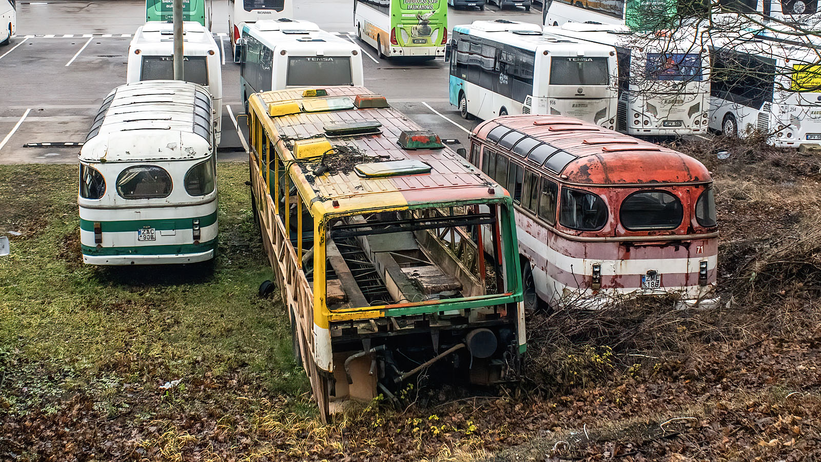 Литва, ПАЗ-672 № 616; Литва, Ikarus 250 № 524