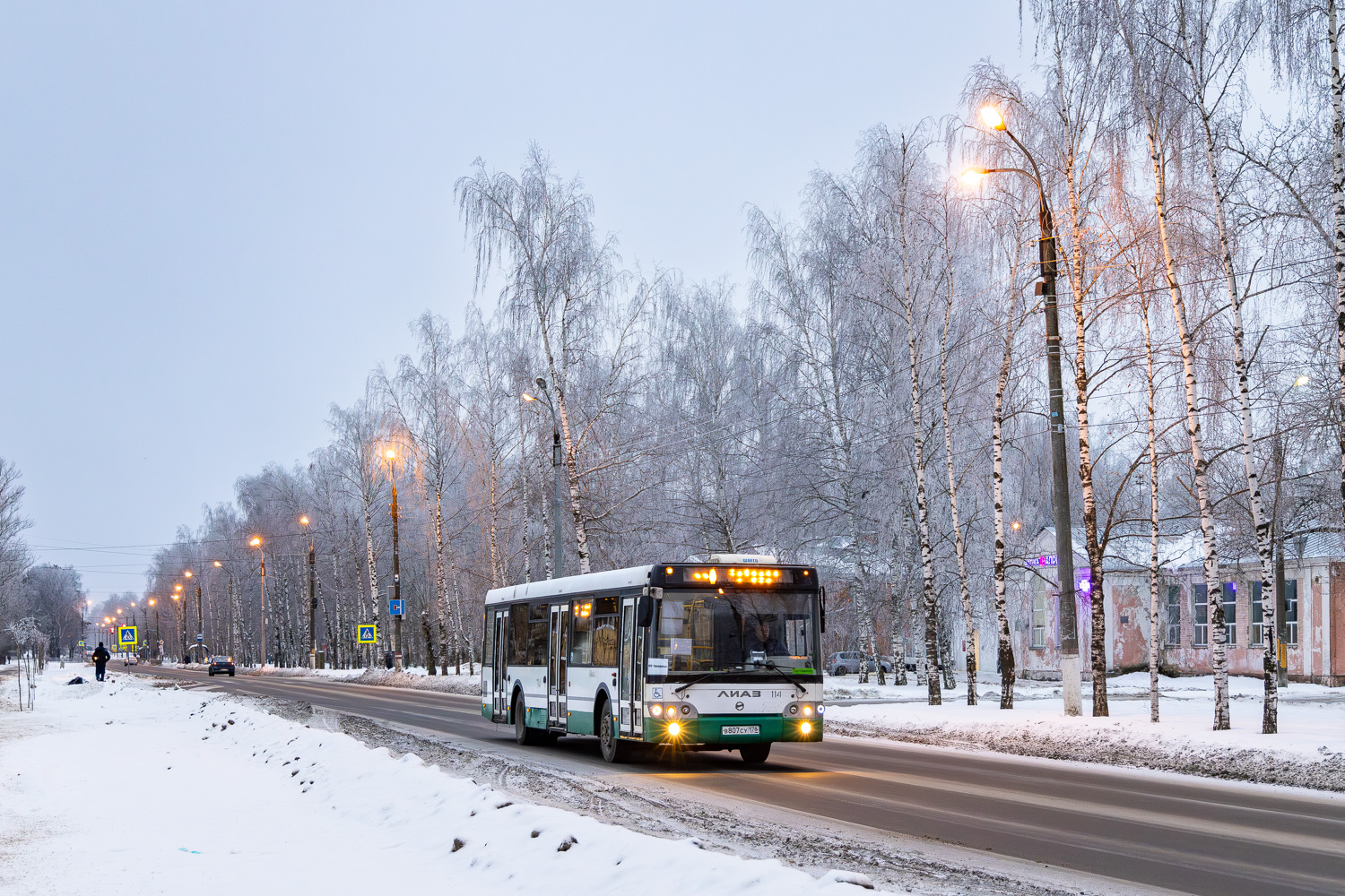 Нижегородская область, ЛиАЗ-5292.60 № 114