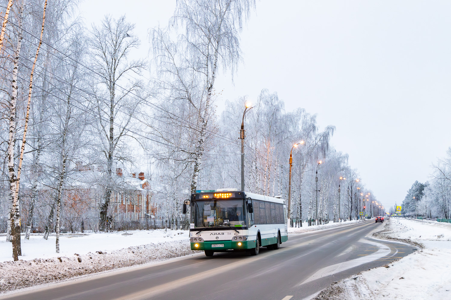 Нижегородская область, ЛиАЗ-5292.60 № 114